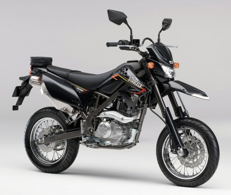 2013年モデル D-TRACKER 125