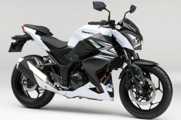 2014年モデル Z250