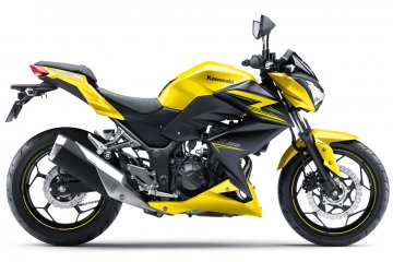 2015年モデル Z250 ABS (ER250D)※インドネシア仕様