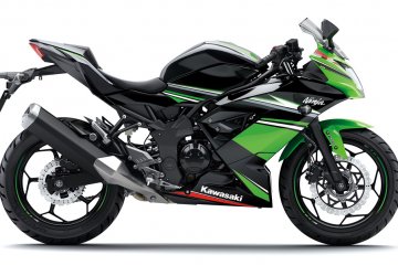 2016年モデル Ninja RR mono ABS (BX250B)※インドネシア仕様