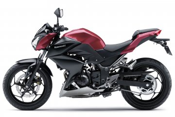 2016年モデル Z250 ABS (ER250D)※中国仕様