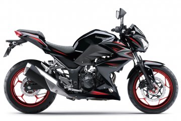 2016年モデル Z250 ABS (ER250D)※インドネシア仕様