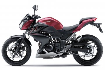 2016年モデル Z250 (ER250C)※インドネシア仕様