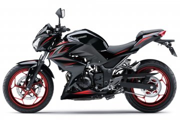 2016年モデル Z250 (ER250C)※マレーシア仕様