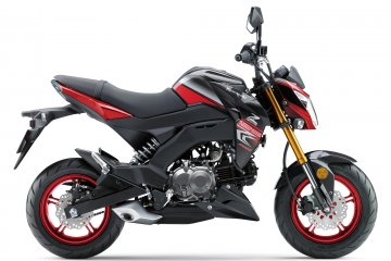 2018年モデル Z125 PRO