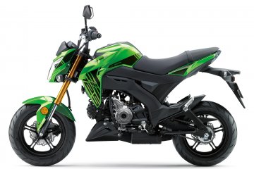 2019年モデル Z125 PRO