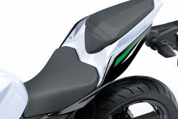 2019年モデル Z250