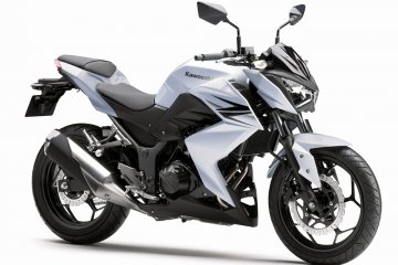 2013年モデル Z250