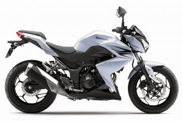 2013年モデル Z250