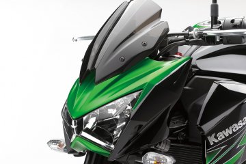 2013年モデル Z800 (ZR800ADF)※欧州一般仕様