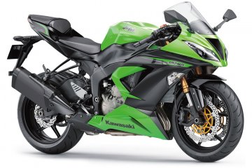 2013年モデル Ninja ZX-6R (ZX636EDF)※欧州一般仕様