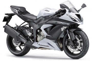 2013年モデル Ninja ZX-6R (ZX636EDF)※欧州一般仕様