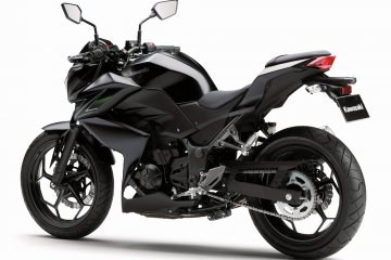 2013年モデル Z250 フィーチャーカット