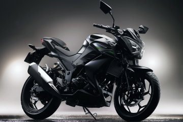 2013年モデル Z250 フィーチャーカット