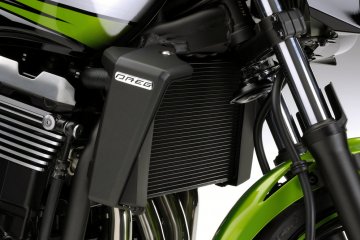 2010年モデル ZRX1200DAEG