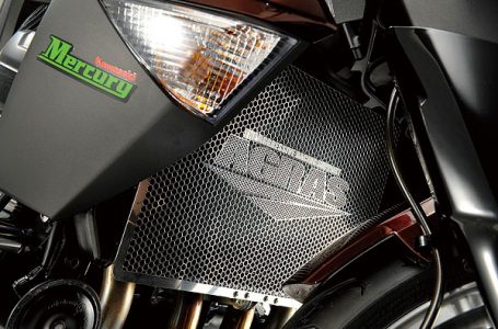 AGRAS 2010 Z1000用 ラジエターコアガード