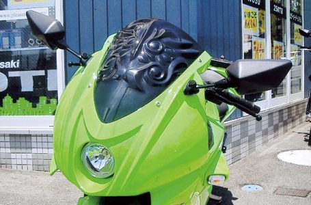 Ninja250R アーマードレリーフ TYPE1