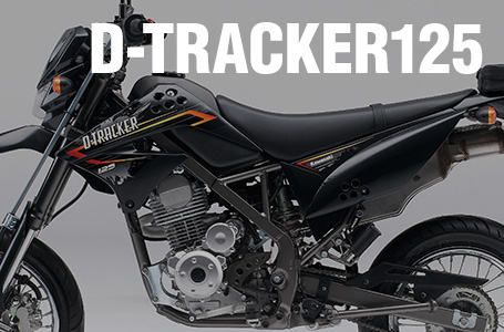 2013年モデル D-TRACKER125