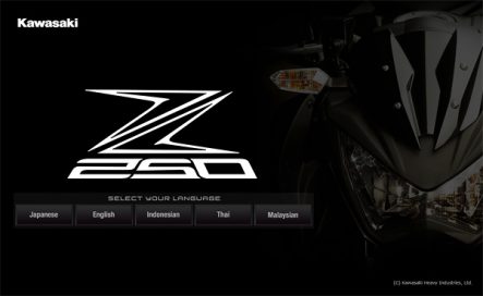 Z250 rule the street : "Z" THE ULTIMATE MOTORCYCLE : Kawasaki Motorcycle & Engine Company