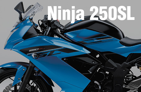 Ninja 250SL/ABS KRT Edition