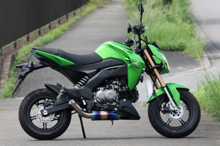 ストライカー Z125 PRO用 パワーミニ フルエキゾースト