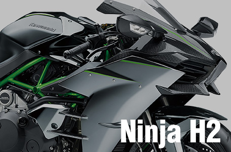 2018年モデル Ninja H2/Carbon