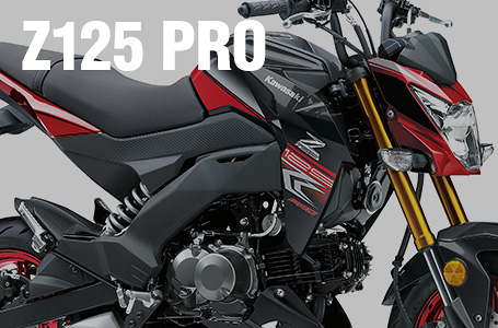 2018年モデル Z125 PRO