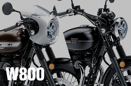 2019年モデル W800 STREET / CAFE