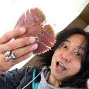 ウチワエビ