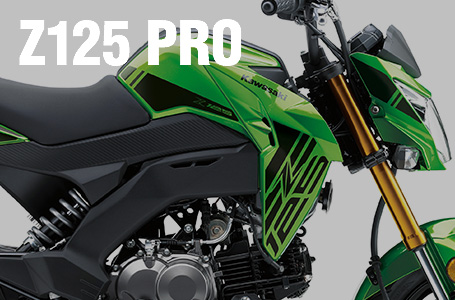 2019年モデル Z125 PRO