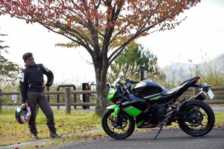 Ninja 250SL ABS KRT Edition(2016年モデル) たそがれ度