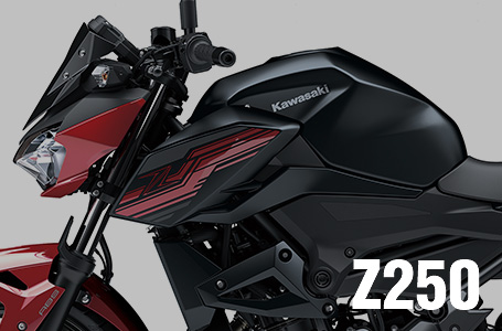 2019年モデル Z250