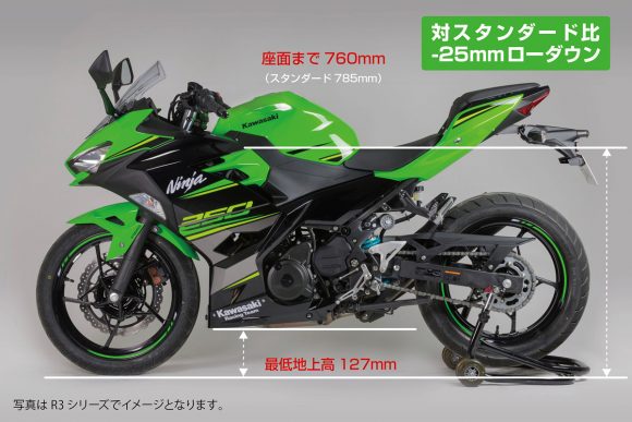 ナイトロン Ninja 250 対スタンダード比-25mmローダウン