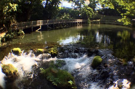 羊蹄のふきだし湧水