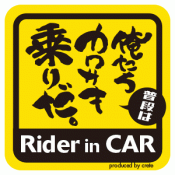 俺たちカワサキが好きだ Rider in CAR